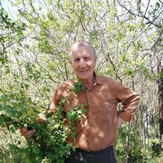  ,   , 66 ,   c , 