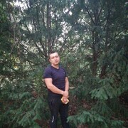  ,   GEORG, 32 ,   