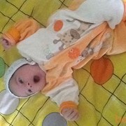 ���������� �������, ���� ������� ���, 42 ����, ������������ 