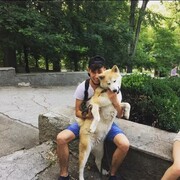 ���������� ����, ���� ������� ����, 33 ����, ������������ ��� ������, ����� � ���������