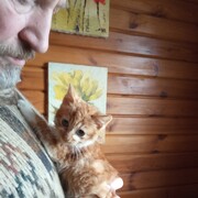  ,   , 64 ,   ,   , c 