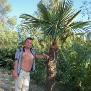  ,   Medvezhonok, 55 ,   ,   , c 