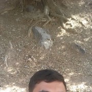  ,   Bobur, 31 ,   