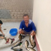  ,   , 42 ,   ,   , c , 