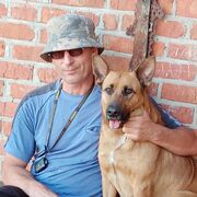 3 ���� �����