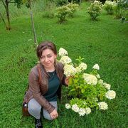  ,   , 40 ,   ,   