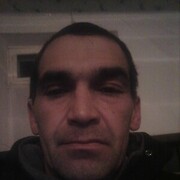  ,   Aslanov rysa, 46 ,   