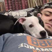 ���������� �����, ���� ������� �������, 28 ���, ������������ ��� ������, ����� � ���������