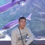 ���������� ����������, ���� ������� ������, 37 ���, ������������ ��� ������, ����� � ���������, c�������� ���������, ���������