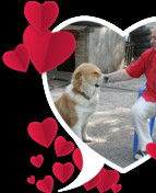   ,   Ntbos, 58 ,   ,   , c , 