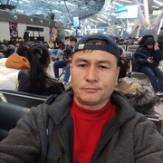 ���������� ������, ���� ������� ����������, 48 ���, ������������ ��� ������, ����� � ���������, c�������� ���������, ���������