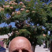  ,   , 58 ,   