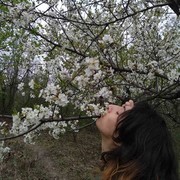  ,   , 40 ,   ,   , c 