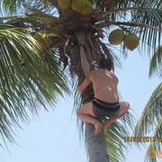  ,   , 39 ,   , 
