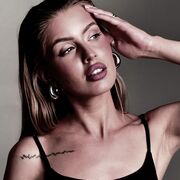 ���������� �����, ����