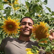  ,   ALEX, 38 ,   ,   , c 