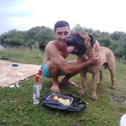 ���������� ���������, ���� ������� �����, 31 ���, ������������ ��� ������, ����� � ���������