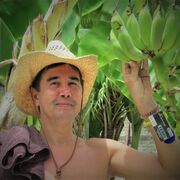 ���������� �������, ���� ������� �����, 41 ���, ������������ ��� ������, ����� � ���������, c�������� ���������