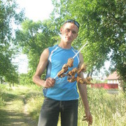  ,   , 37 ,   