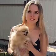  ,  , 20