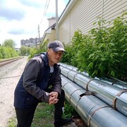 ���������� ������ ��������, ���� ������� ������, 50 ���, ������������ ��� c�������� ���������