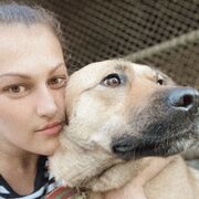 ���������� ������, ���� ������� �������, 39 ���, ������������ ��� ������, ����� � ���������, c�������� ���������, ���������