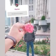 ���������� �������, ���� ����� ���, 24 ����, ������������ ��� ������, ����� � ���������