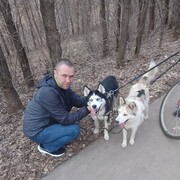 ���������� ����, ���� ������� �����, 39 ���, ������������ ��� ������, ����� � ���������