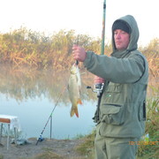 ���������� ����, ���� ������� �������, 50 ���, ������������ ��� ������, ����� � ���������, c�������� ���������