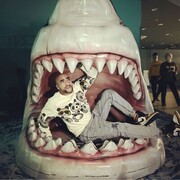 ���������� ������, ���� ������� ������, 29 ���, ������������ ��� ������, ����� � ���������, c�������� ���������, ���������