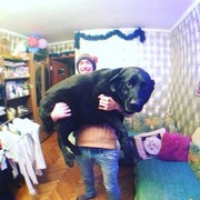 ���������� ������, ���� ������� ���������, 36 ���, ������������ ��� ������, ����� � ���������, c�������� ���������