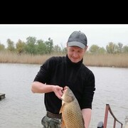 ���������� ����������, ���� ������� �������, 35 ���, ������������ ��� ������, ����� � ���������, c�������� ���������, ���������