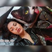 ���������� ���������, ���