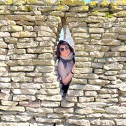  Belsize Park,   Irina, 60 ,     , c 