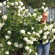 ���������� ����������, ���� ������� ������, 67 ���, ������������ ��� c�������� ���������