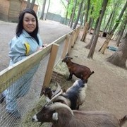 ���������� �������, ���� ������� ������, 36 ���, ������������ ��� ������, ����� � ���������, c�������� ���������