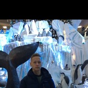 ���������� �����, ���� ����� ���������, 25 ���, ������������ ��� ������, ����� � ���������, c�������� ���������