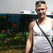 ���������� ������, ���� ������� �������, 43 ����, ������������ 