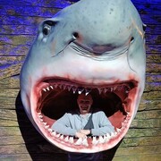 ���������� �������, ���� ������� �����, 29 ���, ������������ ��� ������, ����� � ���������