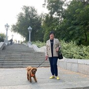  ,   , 57 ,   ,   