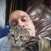  ,   , 54 ,  
