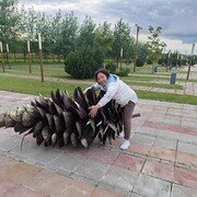  ,   , 53 ,   c 