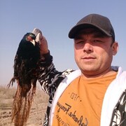  ,   , 34 ,   ,   