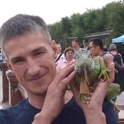 ���������� �����, ���� ������� �����, 49 ���, ������������ ��� ������, ����� � ���������, c�������� ���������