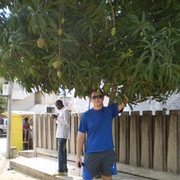 ���������� ������, ���� ������� Alex, 41 ���, ������������ ��� ������, ����� � ���������, c�������� ���������