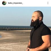  ,  zoxrab, 34