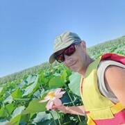 ���������� �������, ���� ������� �������, 48 ���, ������������ ��� ������, ����� � ���������, ���������