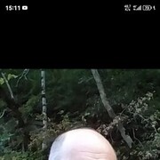  ,  , 44