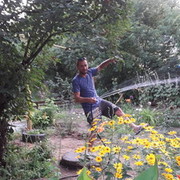 ���������� ���������, ���� ������� ����, 48 ���, ������������ ��� ������, ����� � ���������, c�������� ���������