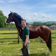 ���������� ������, ���� ������� ������, 41 ���, ������������ ��� ������, ����� � ���������, c�������� ���������, ���������